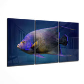 Queen Angel Fish Glass Art.